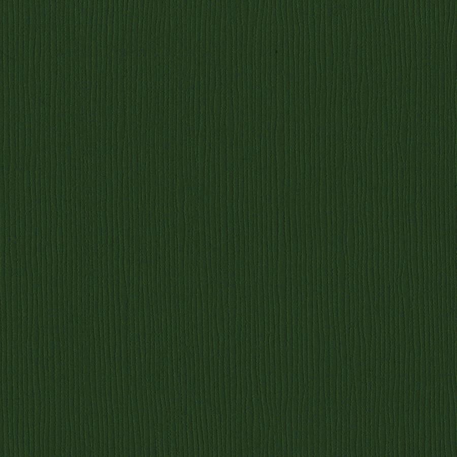 Bazzill Basics AVOCADO dark green cardstock - 12x12 inch - 80 lb - textured scrapbook paper