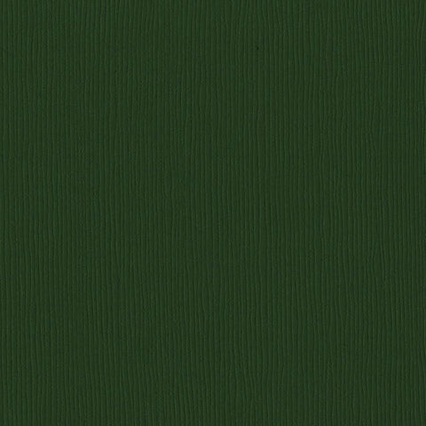 Bazzill LILY POND 12x12 Textured Cardstock | 80 lb Sage Green Scrapbook  Paper | Premium Card Making and Paper Crafting Supplies | 25 Sheets per Pack