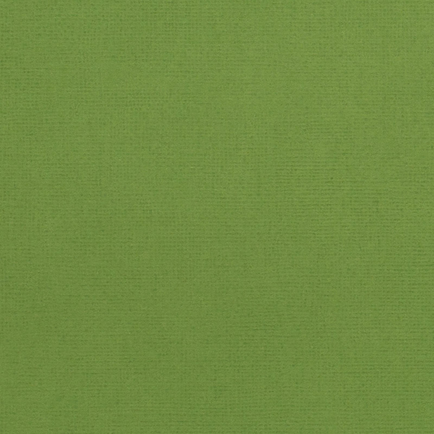 Spinach - green cardstock - 12x12  inch - 80 lb - textured scrapbook paper - American Crafts