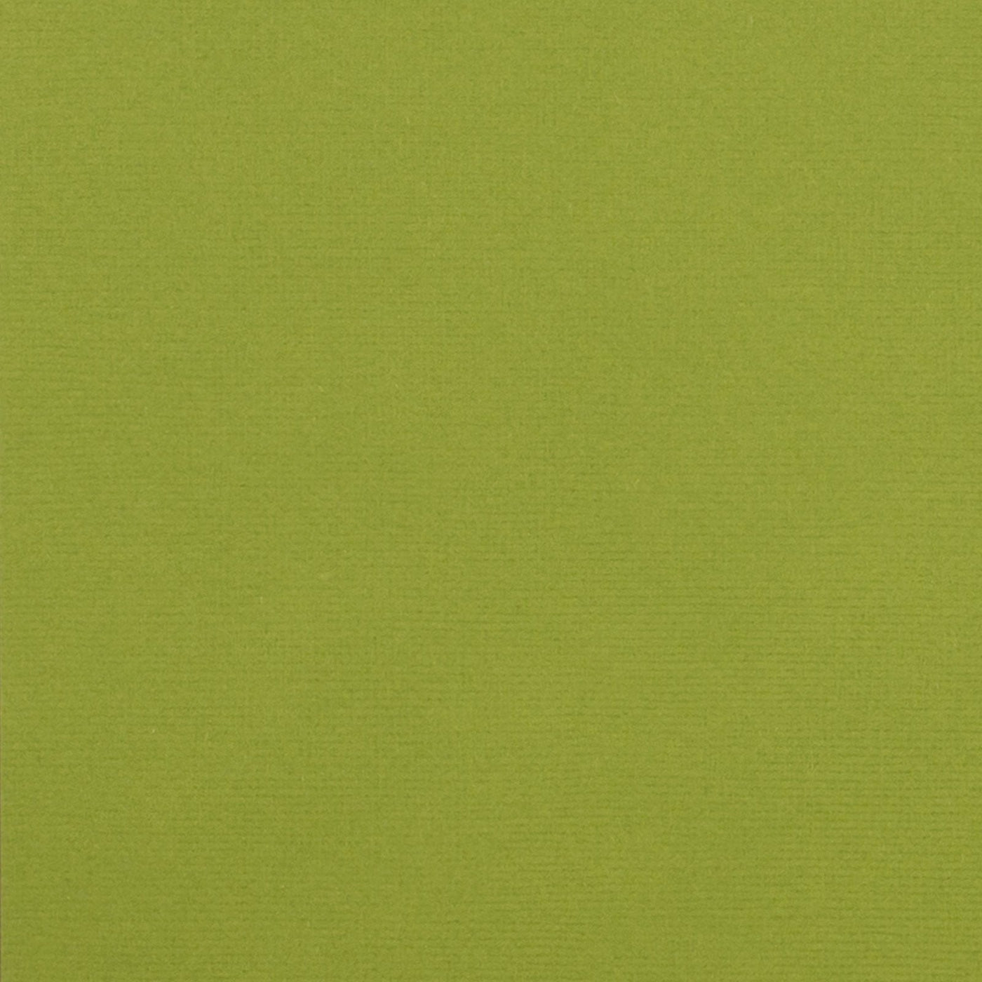 Leaf green cardstock - 12x12 inch - 80 lb - textured scrapbook paper - American Crafts