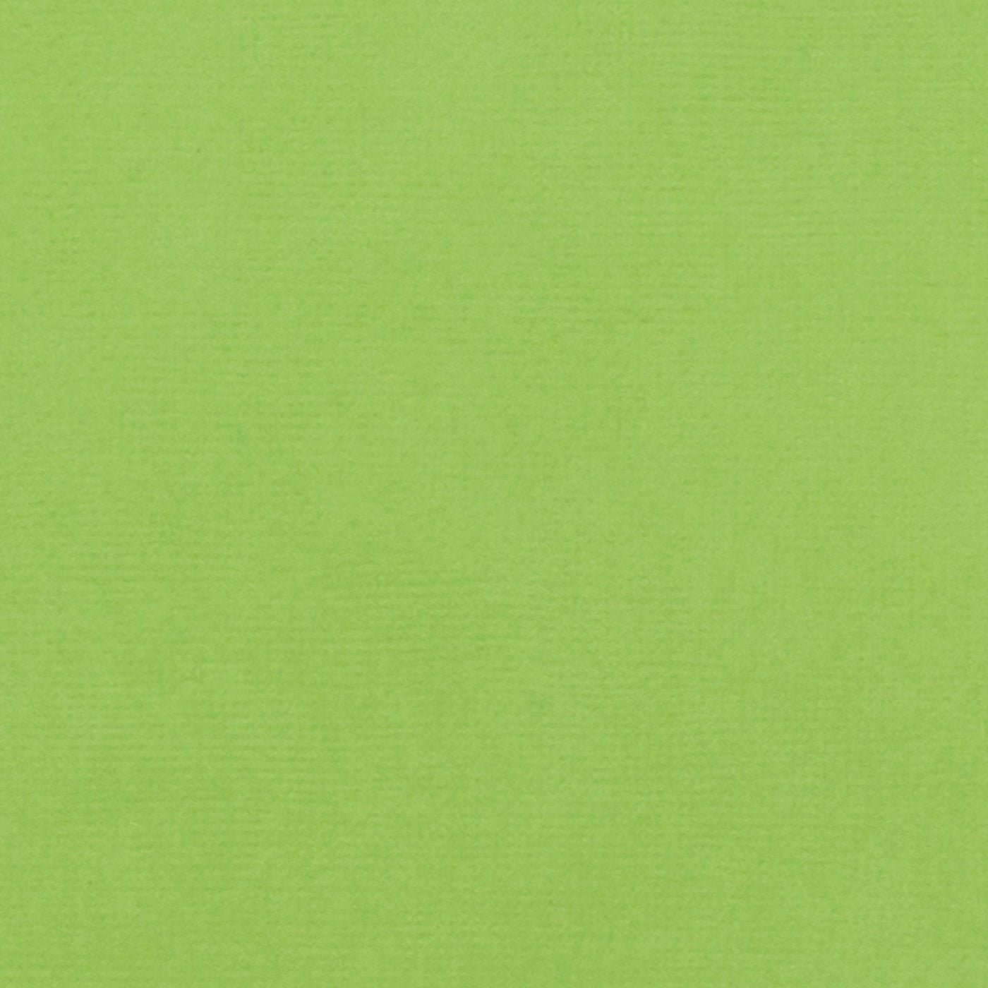 Cricket Green Cardstock - 12x12 inch - 80 lb - textured scrapbook paper - American Crafts