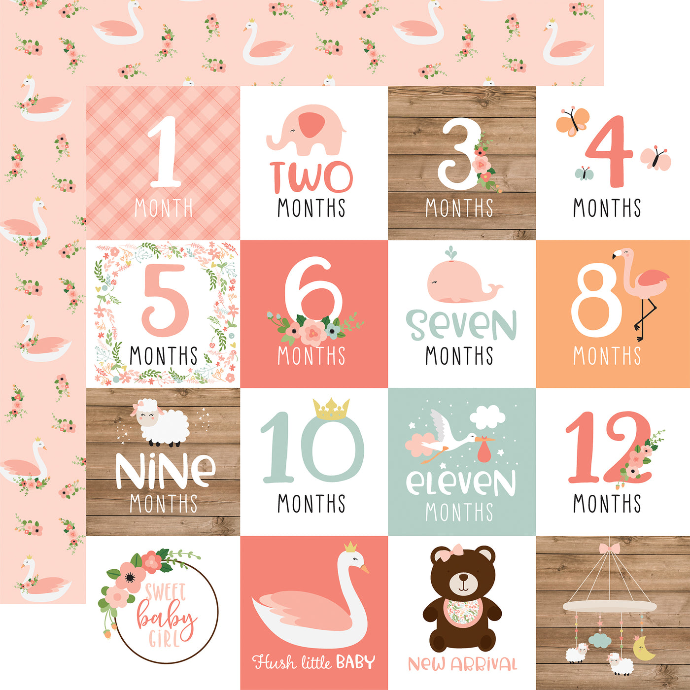 BABY GIRL 12x12 Collection Kit - Echo Park