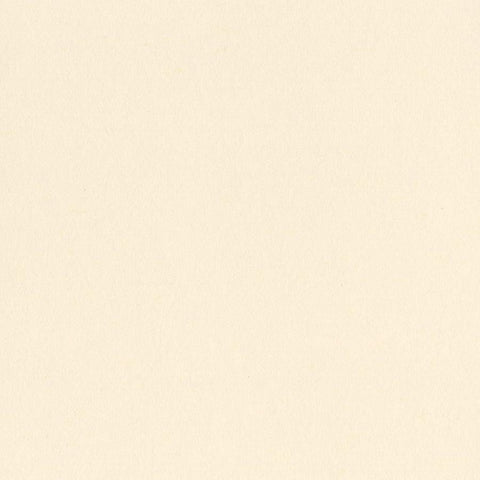 Colorplan 100lb Cover Solid Cardstock 12x12 10/Pkg Chartreuse