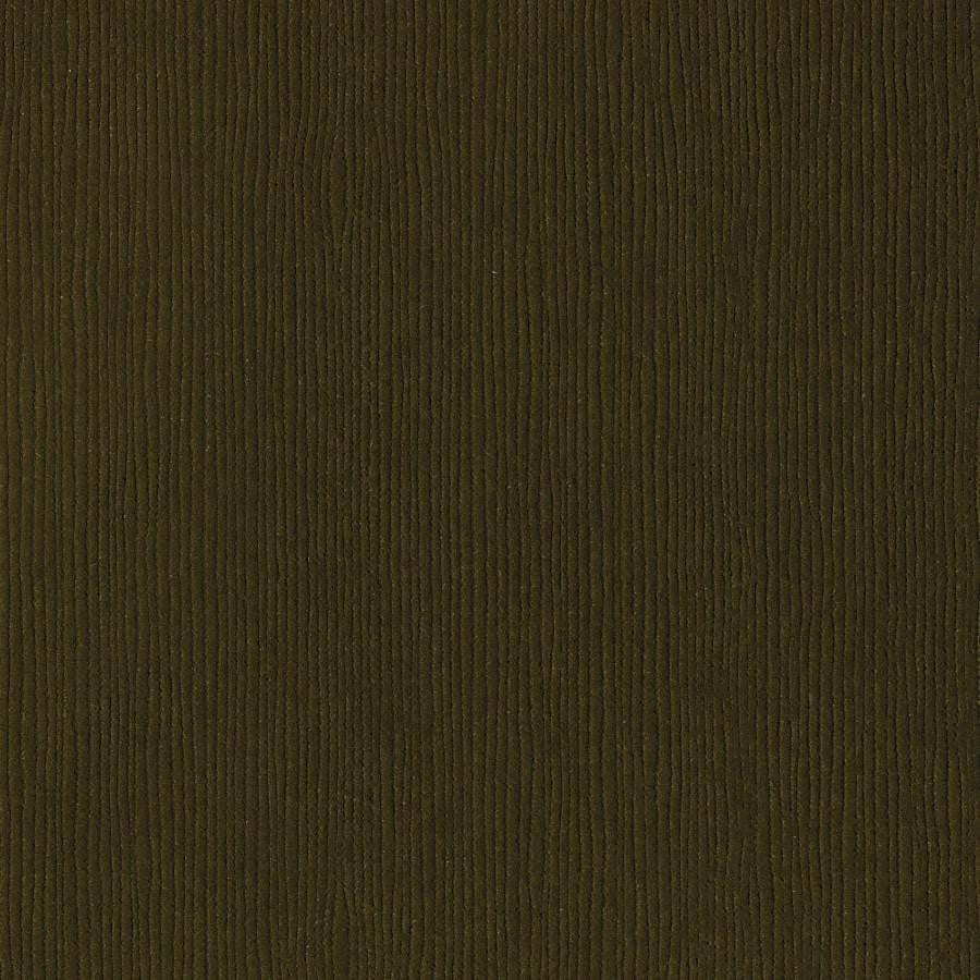 Bazzill Basics CAPERS olive green cardstock - 12x12 inch - 80 lb - textured scrapbook paper