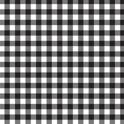 Front side - WHITE Buffalo Plaid 12x12 double-sided cardstock from Carta Bella