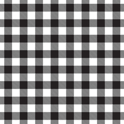 Reverse side - WHITE Buffalo Plaid 12x12 double-sided cardstock from Carta Bella
