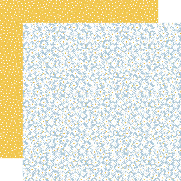 FRESH DAISIES - 12x12 Double-Sided Patterned Paper - Carta Bella