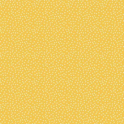 FRESH DAISIES - 12x12 Double-Sided Patterned Paper - Carta Bella