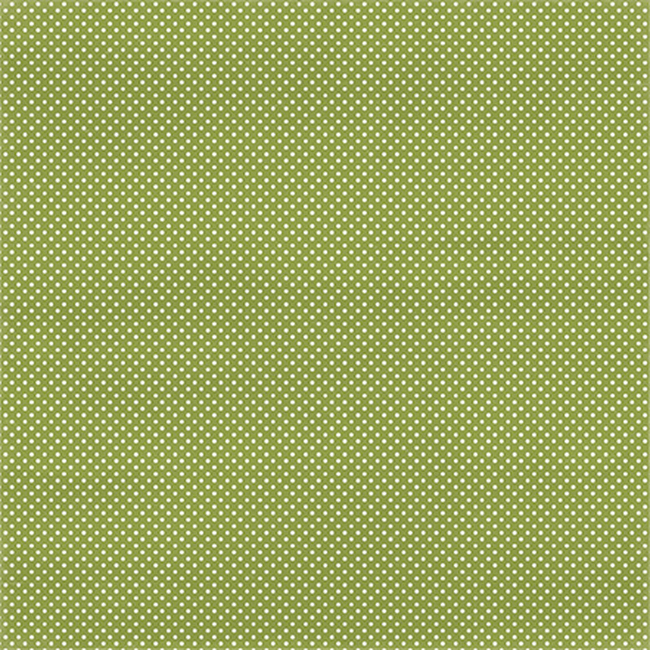 12x12 cardstock with small white dots on apple green background