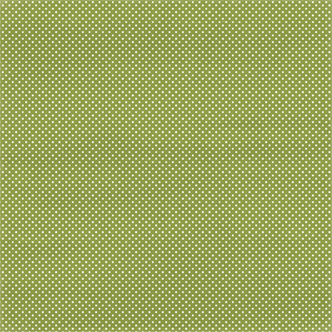 12x12 cardstock with small white dots on apple green background