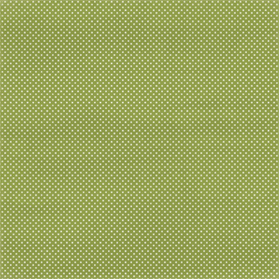 12x12 cardstock with small white dots on apple green background