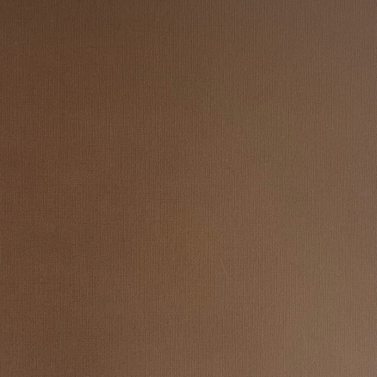 CAFE AU LAIT 12x12 Textured Brown Cardstock My Colors The 12x12