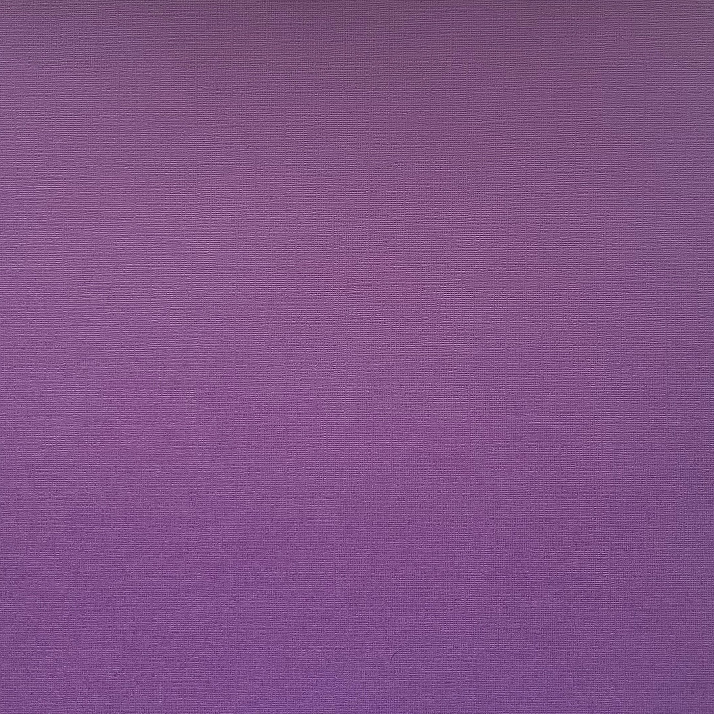 CONCORD JAM - Textured 12x12 Cardstock - My Colors