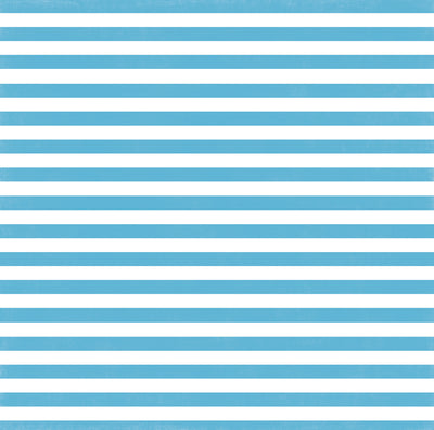 Poolside Stripe 12x12 cardstock from Echo Park Paper - blue and white - front side