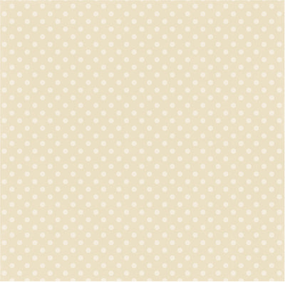 Reverse side of PEARL DOT 12x12 Cardstock from Dots & Stripes Collection by Echo Park Paper Co.