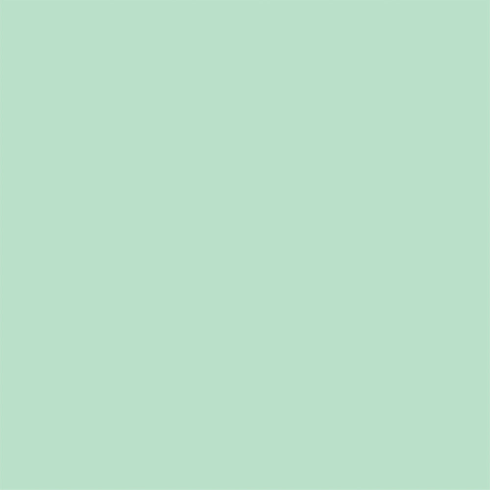 Reverse side of 12x12 Mint Green Cardstock from Echo Park Paper Co.