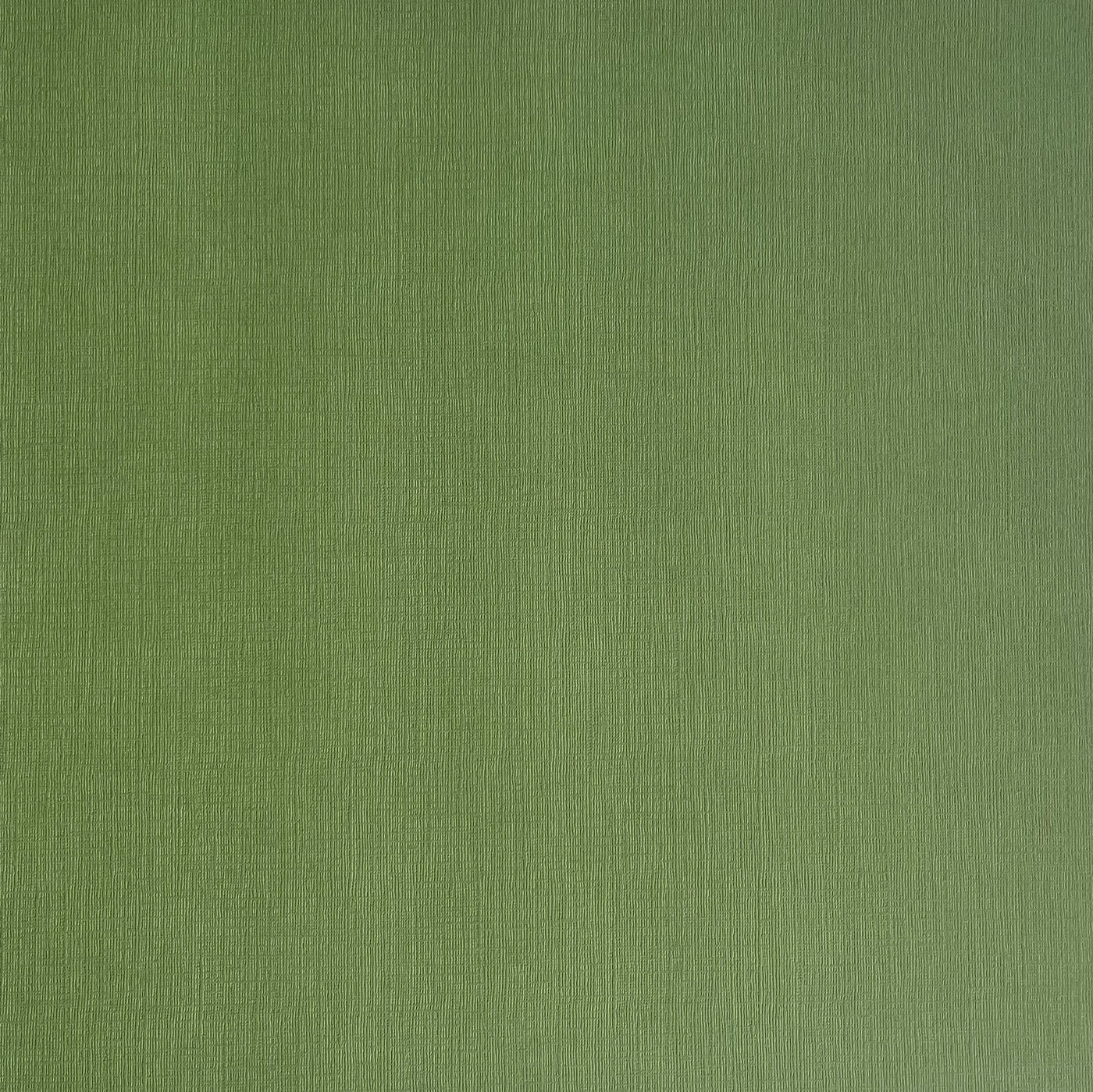 Desert Cactus - Textured 12x12 Cardstock - Green canvas scrapbook paper