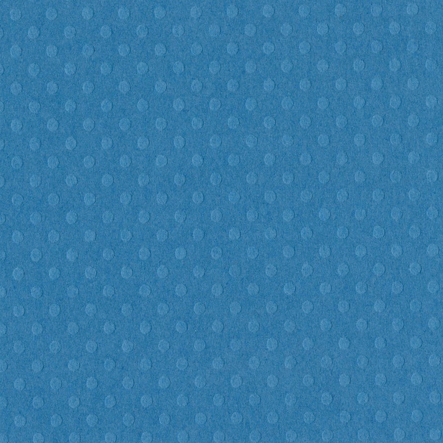 SURFS UP Blue Dotted Swiss 12x12 Cardstock from Bazzill Paper 