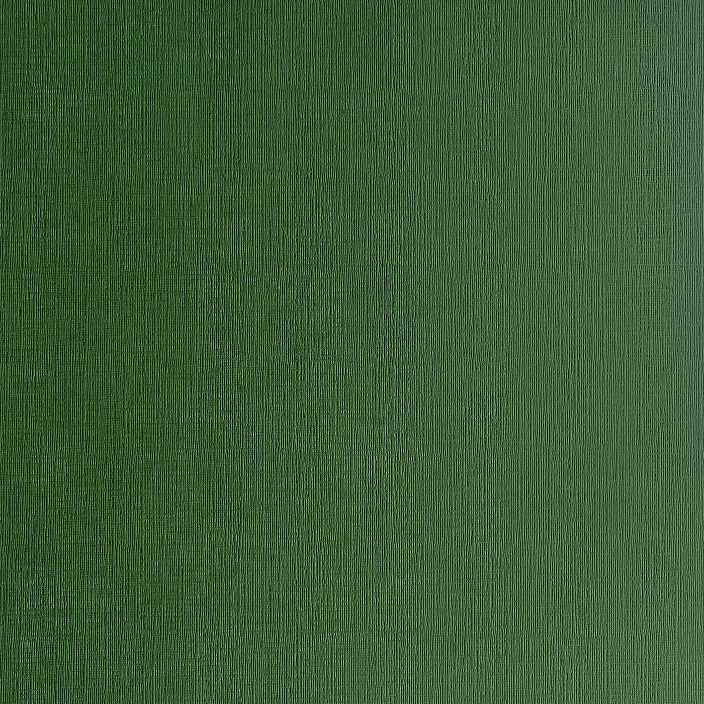 Evergreen - Textured 12x12 Cardstock - Dark green canvas scrapbook paper