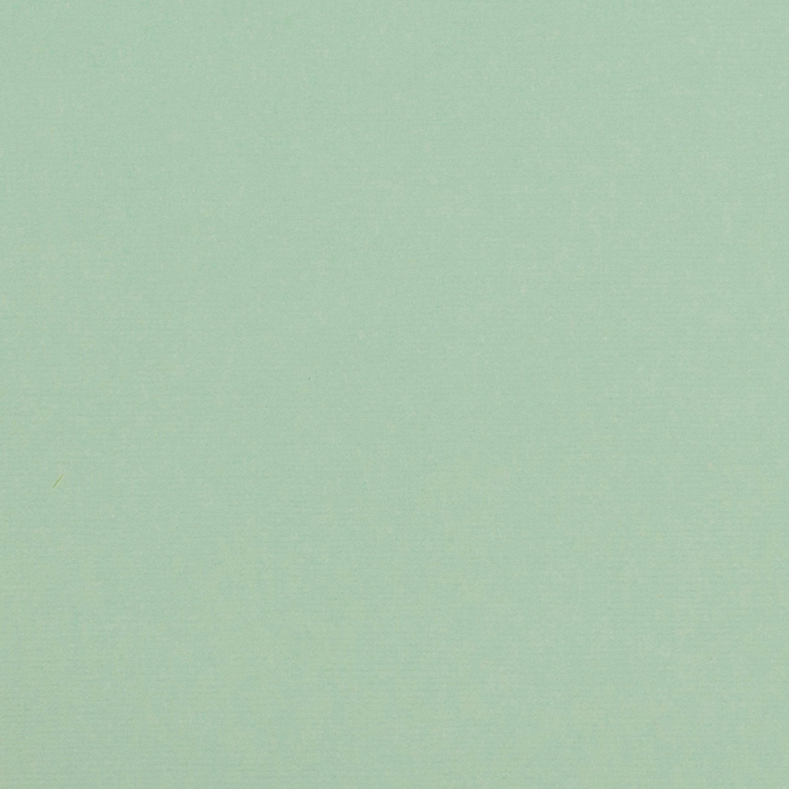 GEYSER 12x12 Pale Green Cardstock AC 80 lb Textured Scrapbook Paper The 12x12 Cardstock Shop