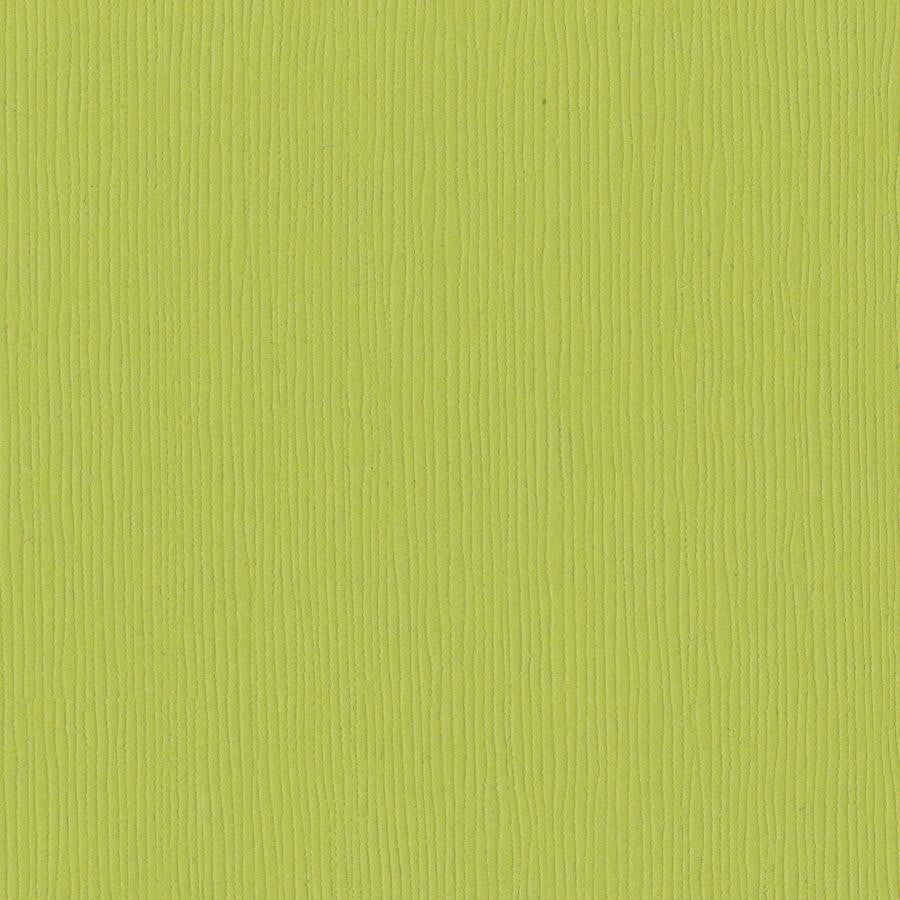 Bazzill GRANNY SMITH green cardstock - 12x12 inch - 80 lb - textured scrapbook paper