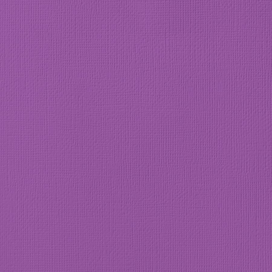 GRAPE purple cardstock - 12x12 inch - 80 lb - textured scrapbook paper - American Crafts