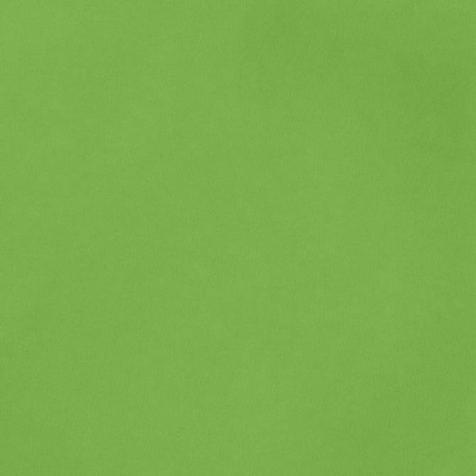 GRASS smooth, 12x12 cardstock from American Crafts - green in color