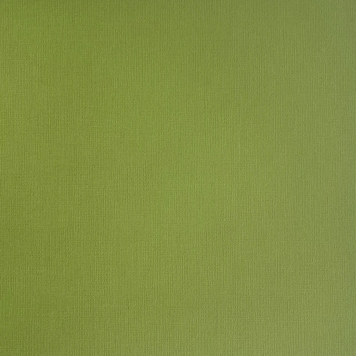 Grasshopper - Textured 12x12 Cardstock - Olive green canvas scrapbook paper