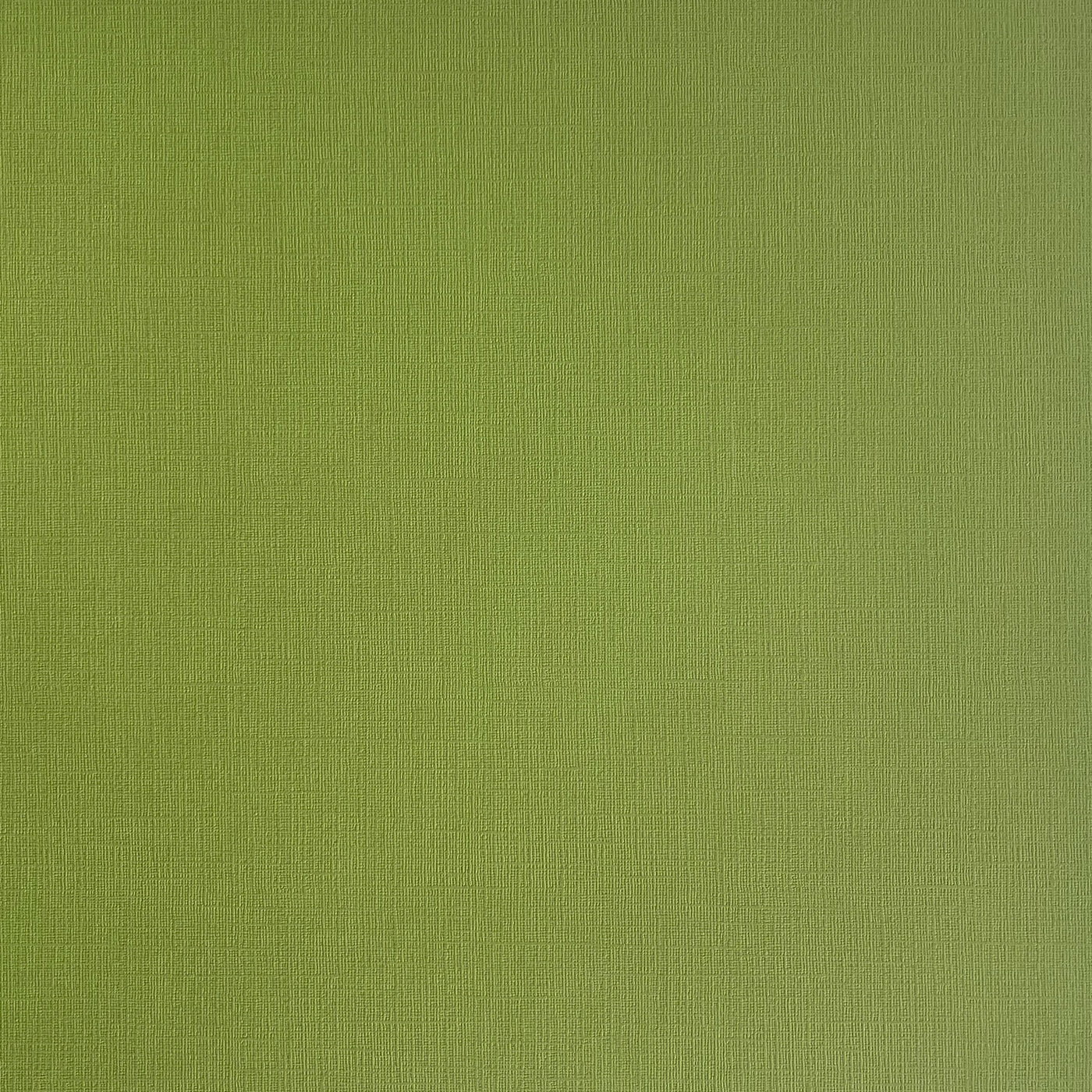 Grasshopper - Textured 12x12 Cardstock - Olive green canvas scrapbook paper