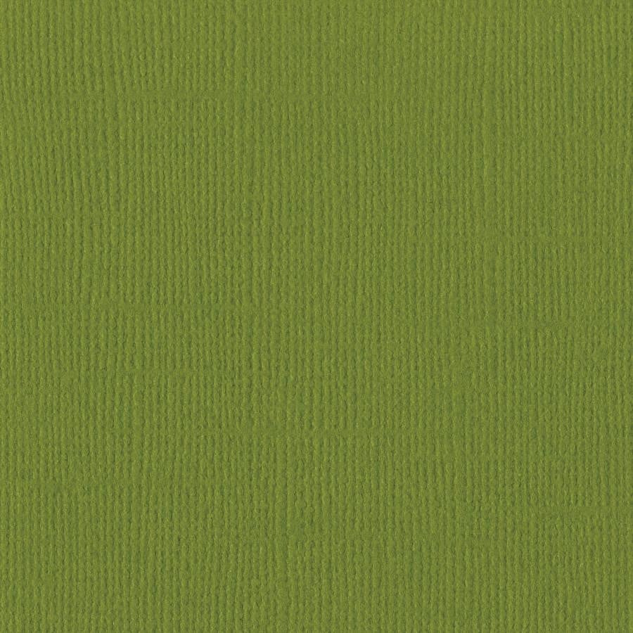 Bazzill HILLARY green cardstock - 12x12 inch - 80 lb - textured scrapbook paper