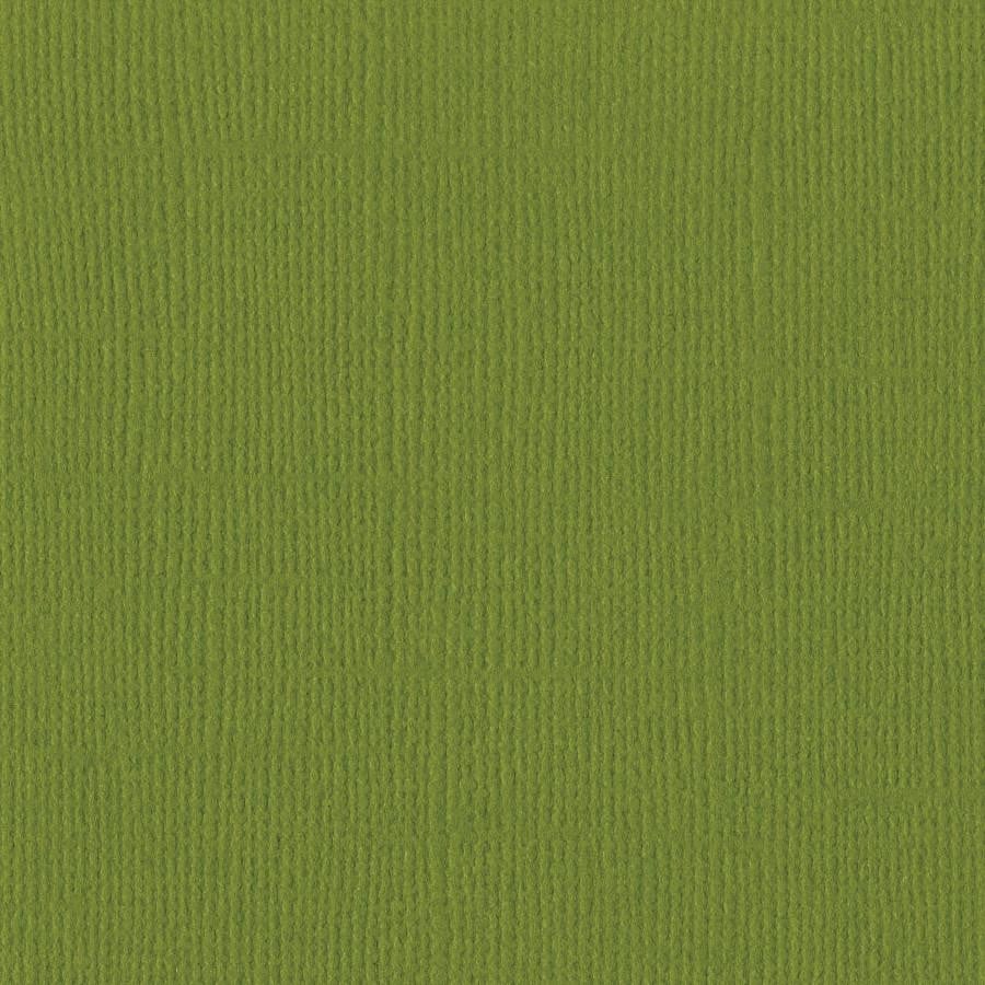 Bazzill HILLARY green cardstock - 12x12 inch - 80 lb - textured scrapbook paper