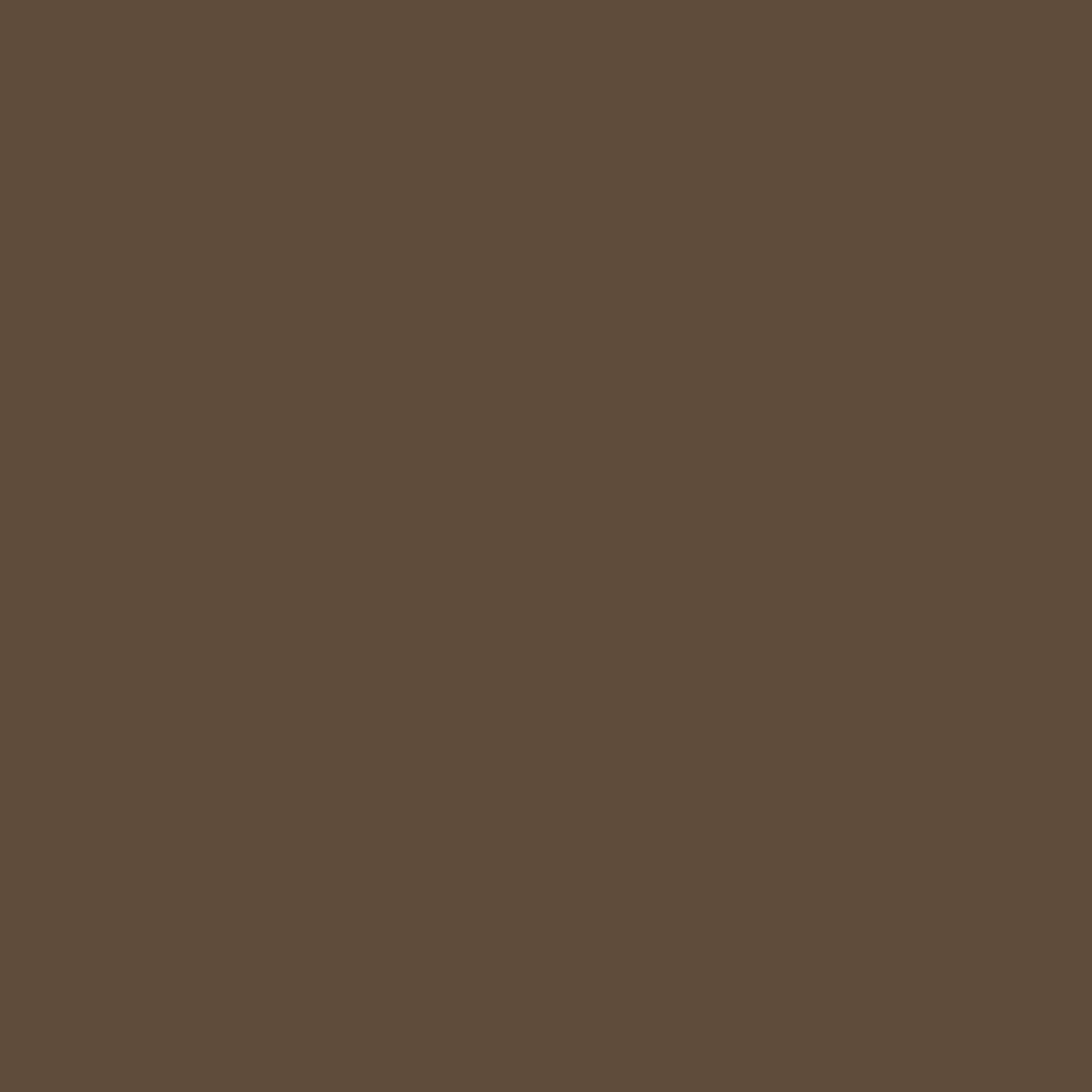 HOT FUDGE - Smooth 12x12 Cardstock - Pop-Tone Collection