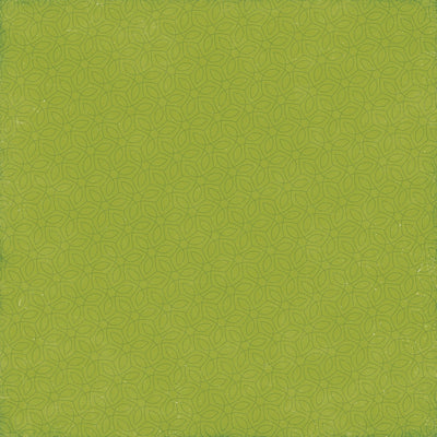 Side B - lime green abstract floral background