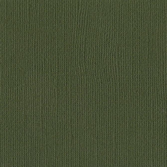 Bazzill IVY - dark green cardstock - 12x12 inch - 80 lb - textured scrapbook paper