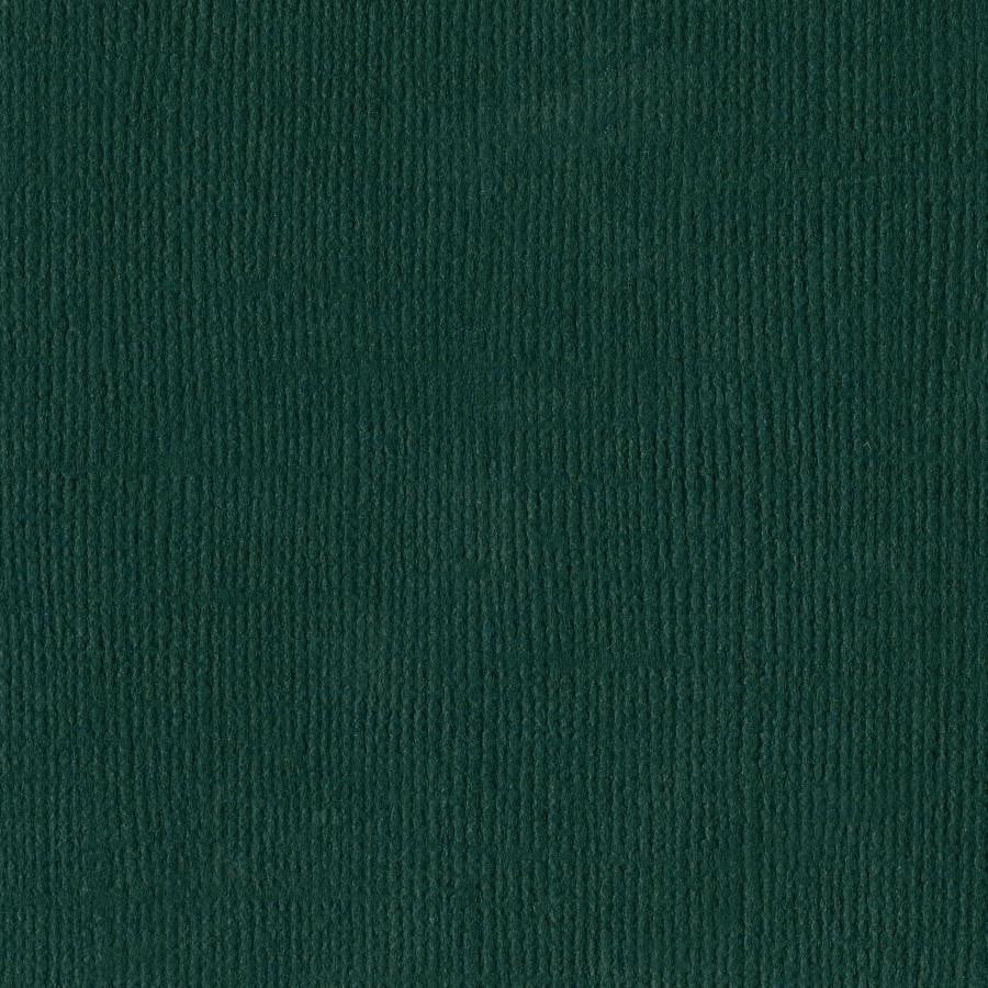 Bazzill Basics JADE green cardstock - 12x12 inch - 80 lb - textured scrapbook paper
