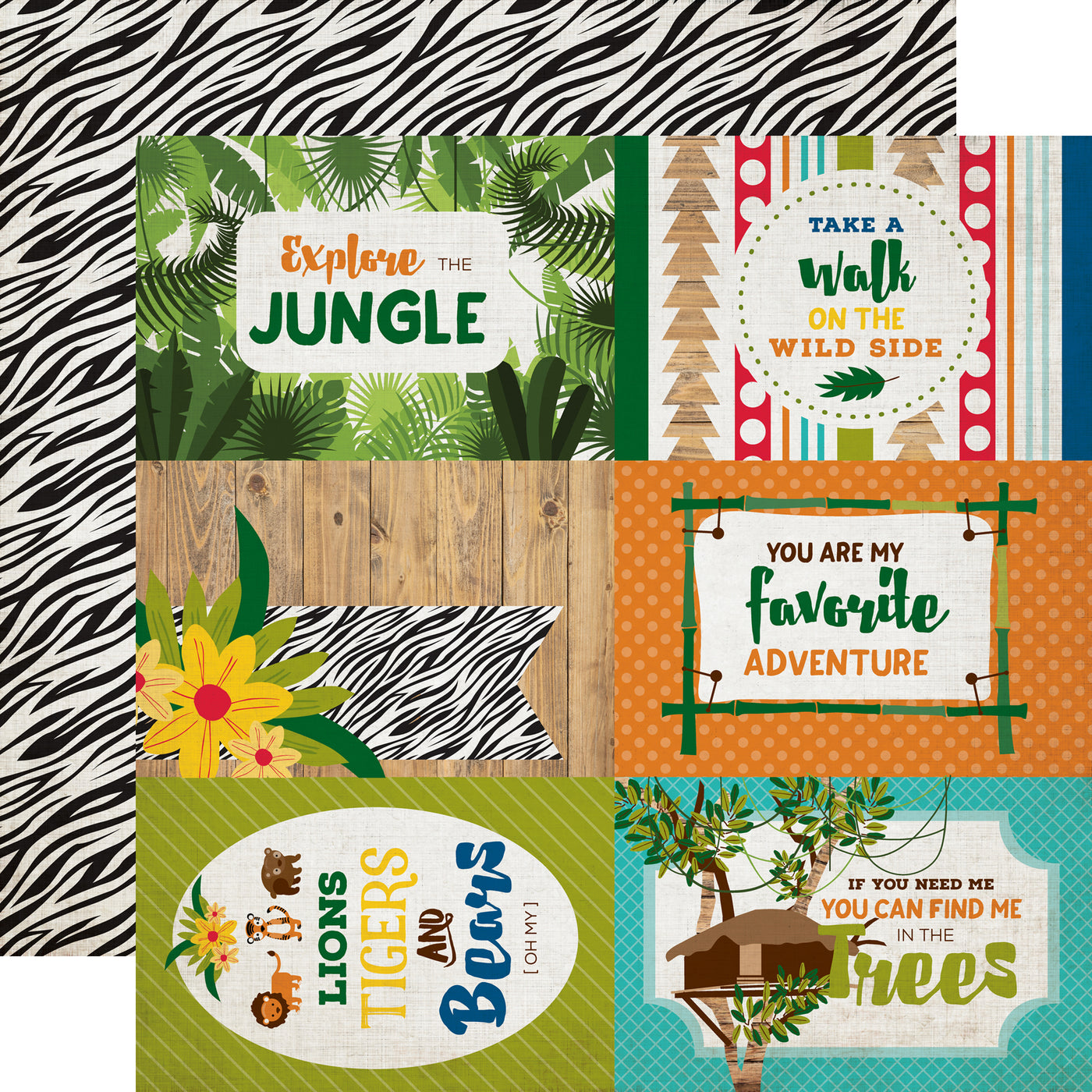 SAFARI 4X6 JOURNALING CARDS - 12x12 Patterned Cardstock - Echo Park