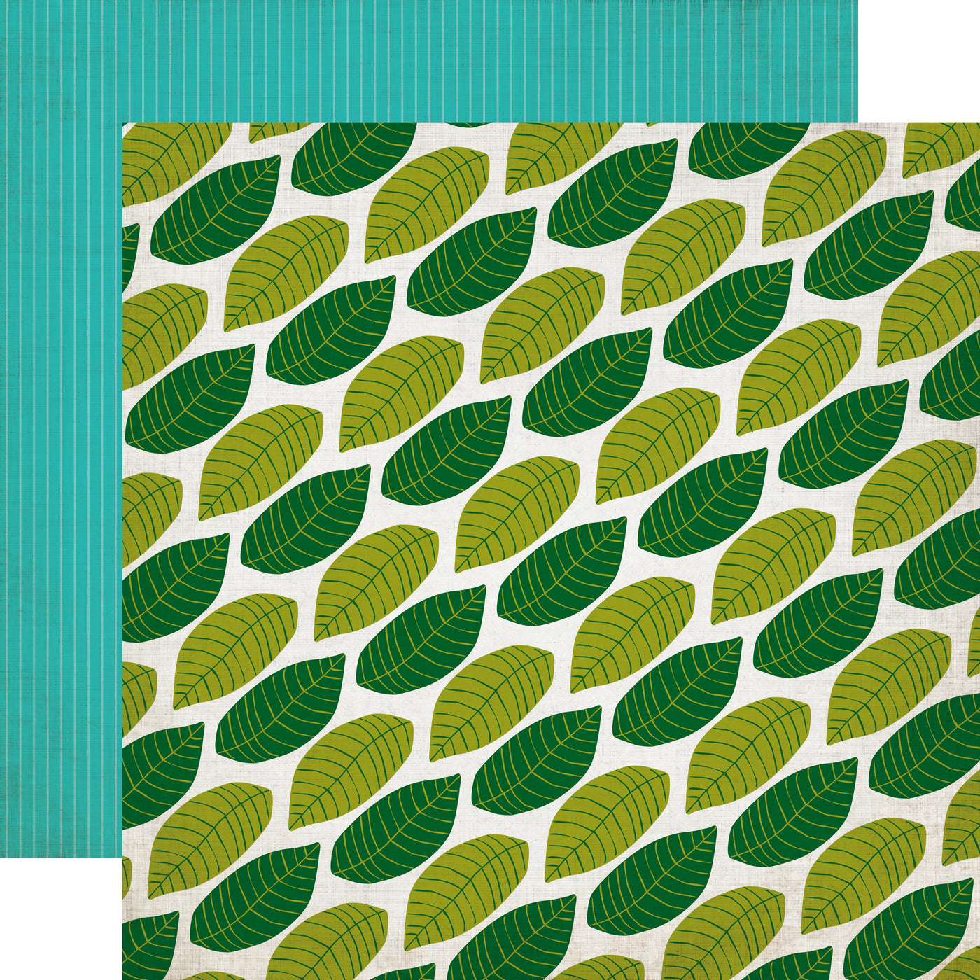 Canopy Leaves patterned cardstock (multi-colored large green leaves on a white background with thin white pinstripes on turquoise blue background reverse)