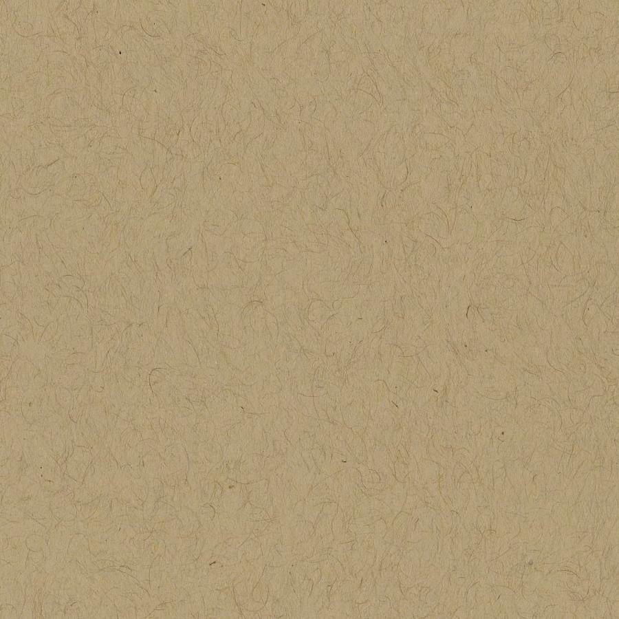 Bazzill Classics KRAFT cardstock - 12x12 - smooth - 80lb cover