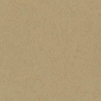 Bazzill Classics KRAFT cardstock - 12x12 - smooth - 80lb cover