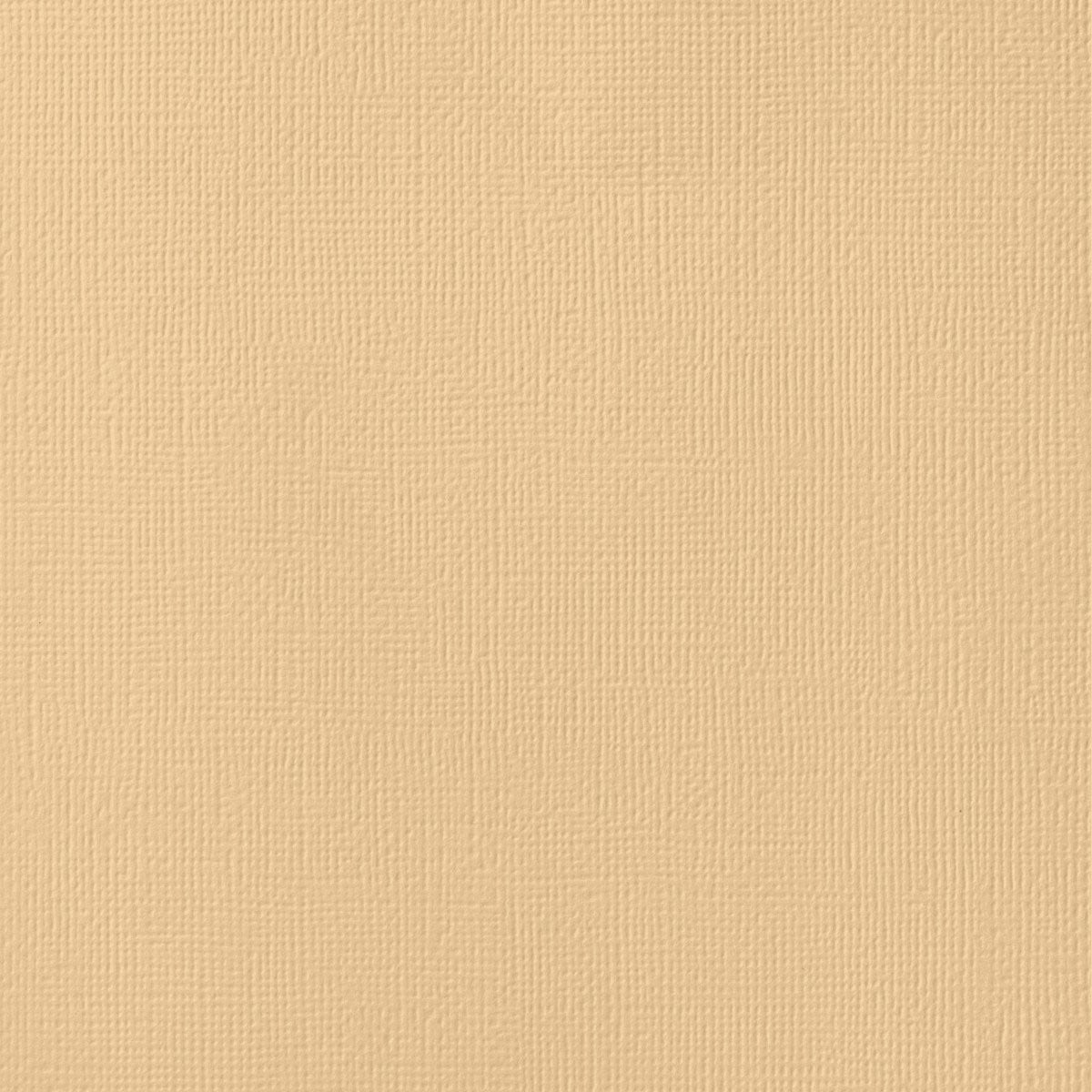 LATTE tan cardstock - 12x12 inch - 80 lb - textured scrapbook paper - American Crafts