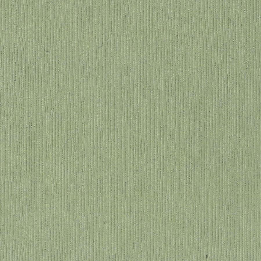 Bazzill LILY POND green cardstock - 12x12 inch - 80 lb - textured scrapbook paper