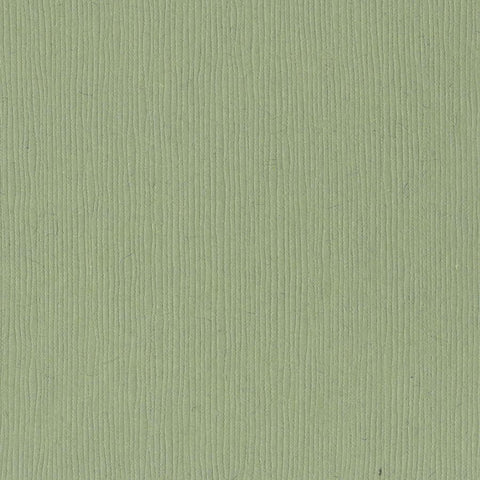 Pale Sage Green Cardstock - 12 x 12 inch - 80Lb Cover - 25 Sheets - Clear  Path Paper 