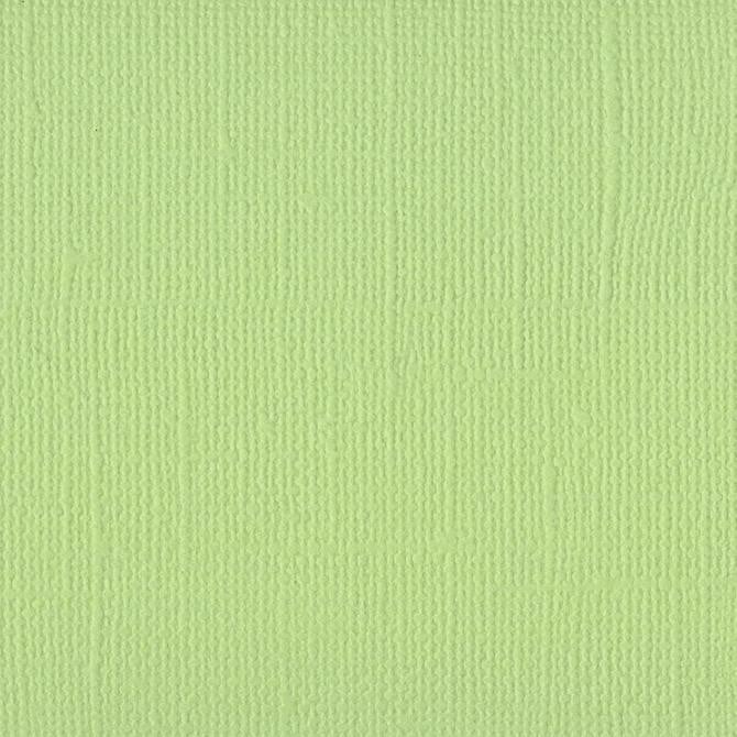 Bazzill LIMEADE green cardstock - 12x12 inch - 80 lb - textured scrapbook paper