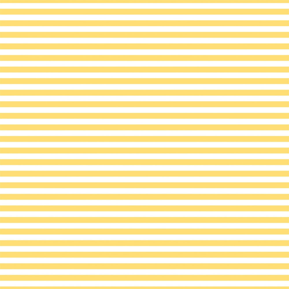 BUSY BUMBLEBEES - 12x12 Double-Sided Patterned Paper - Echo Park