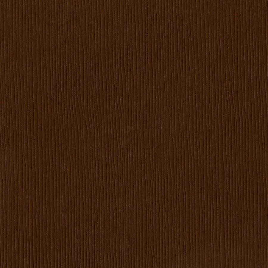 Bazzill Basics MOCHA DIVINE brown cardstock - 12x12 inch - 80 lb - textured scrapbook paper