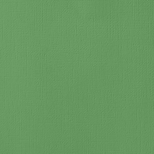 MOSS green cardstock - 12x12 inch - 80 lb - textured scrapbook paper - American Crafts
