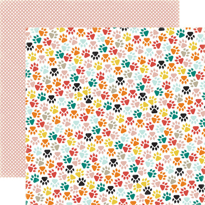 MEOW 12x12 Collection Kit - Echo Park