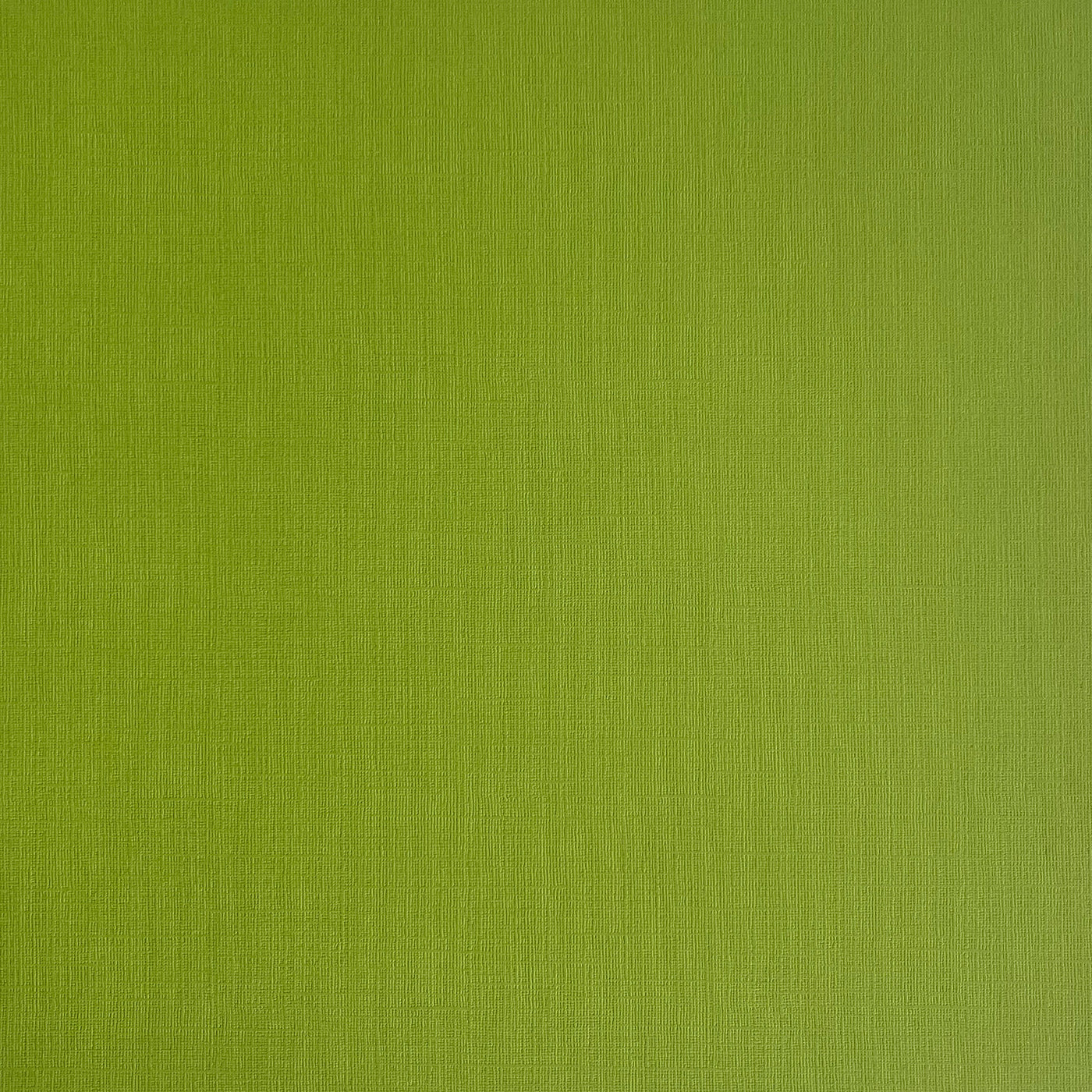 Mint Julep - Textured 12x12 Cardstock - Spring green canvas scrapbook paper