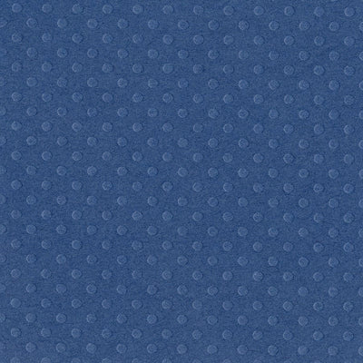NIGHT WATER Dotted Swiss 12x12 Cardstock from Bazzill