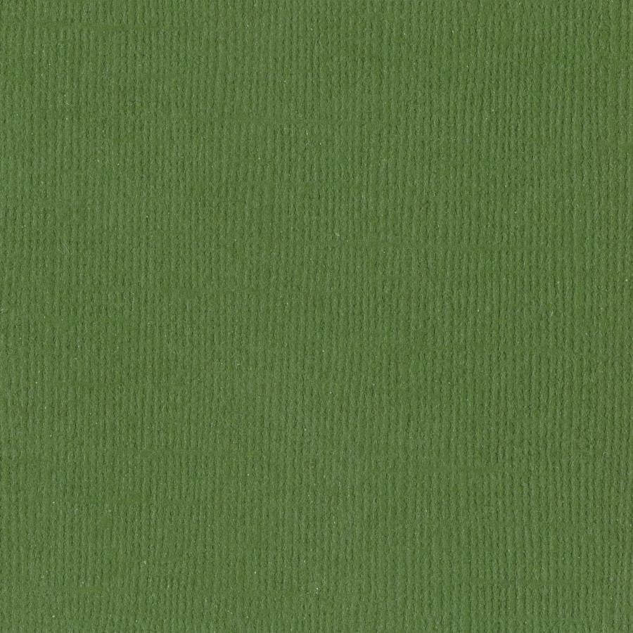 Bazzill Basics NIXON green cardstock - 12x12 inch - 80 lb - textured scrapbook paper